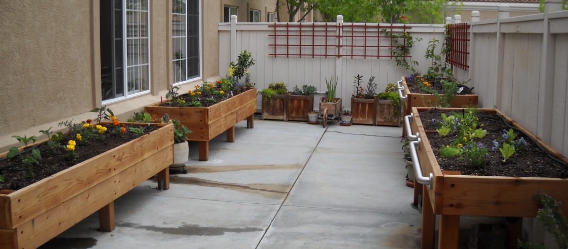 The passion for gardening never stops.