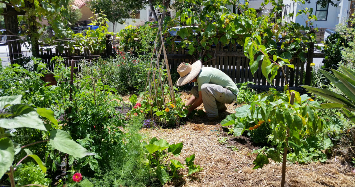 From grape vines to strawberries, curb appeal is set to max!