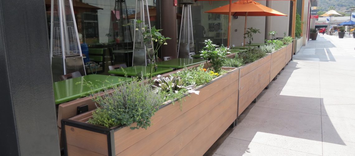 Passersby at the mall can admire this unique herb garden at Tender Greens.