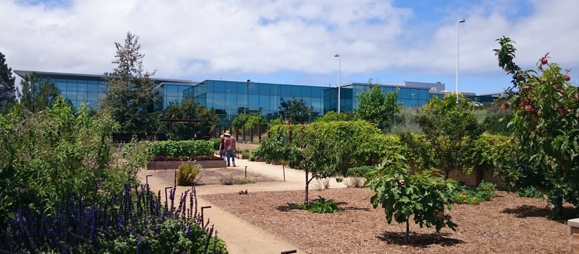 Gardens and orchards stay gorgeous year-round in San Diego.