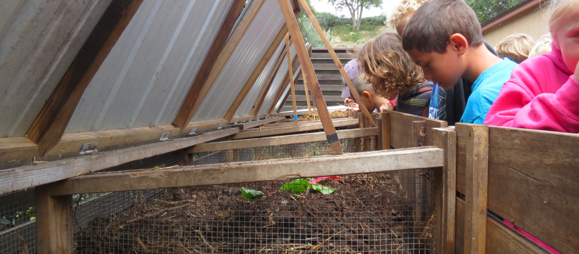 <a href="urbanplantations.com/composting">From education to regular care, Urban Plantations can customize a compost system to best suit your lifestyle and garden.</a>