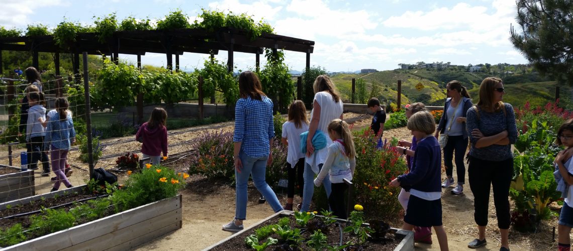 Every class makes new educational discoveries on our corporate farm!