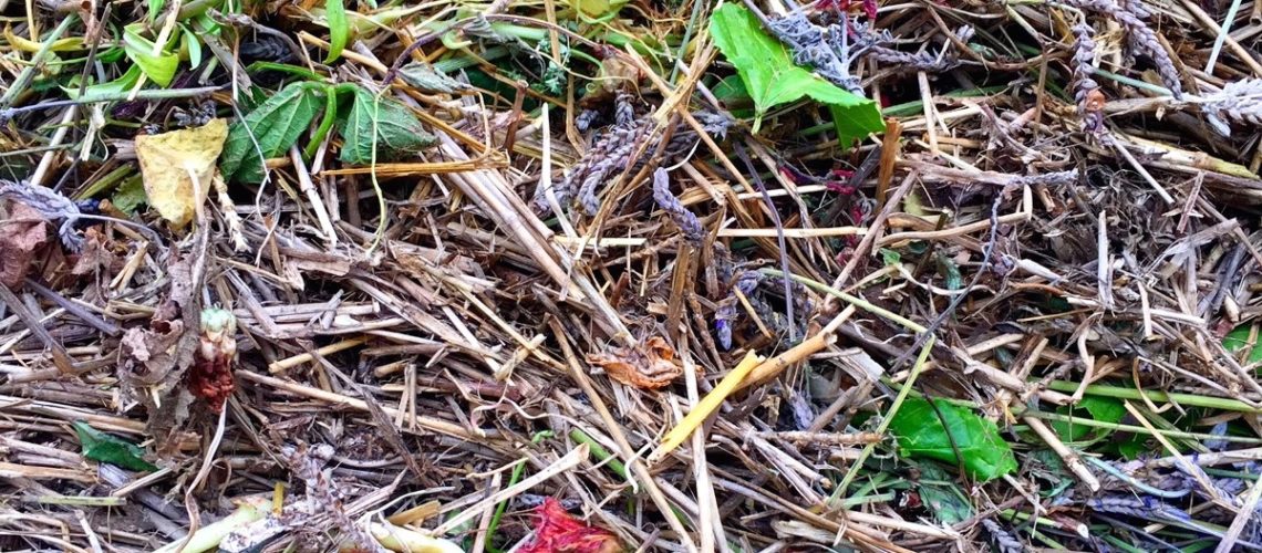 In a matter of months, these scraps will go from waste to compost.