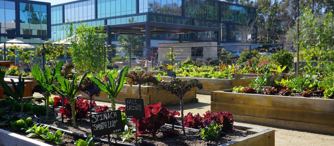 <a href="urbanplantations.com/corporate-gardens">Urban Plantations is partnering with businesses in Southern California to create the most unique, versatile, and green amenity a corporate campus can offer: an edible garden.</a>
