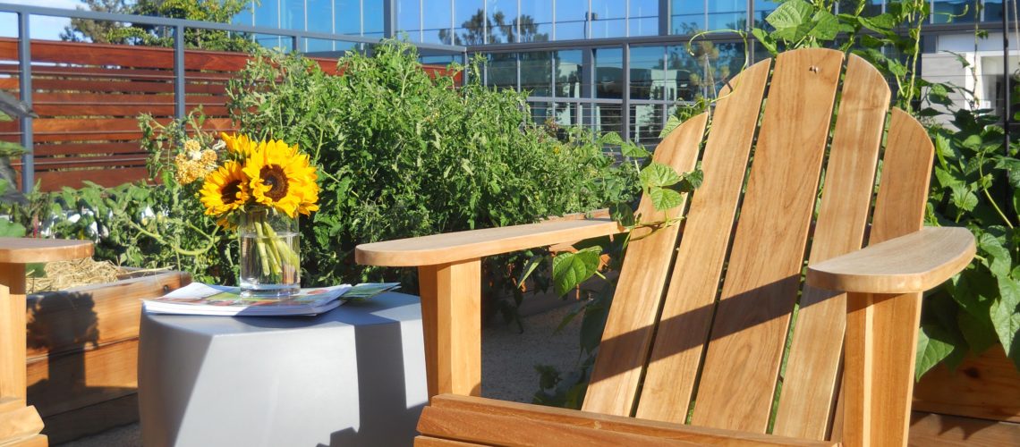 Hook up to the garden WiFi and enjoy the tranquil environment.