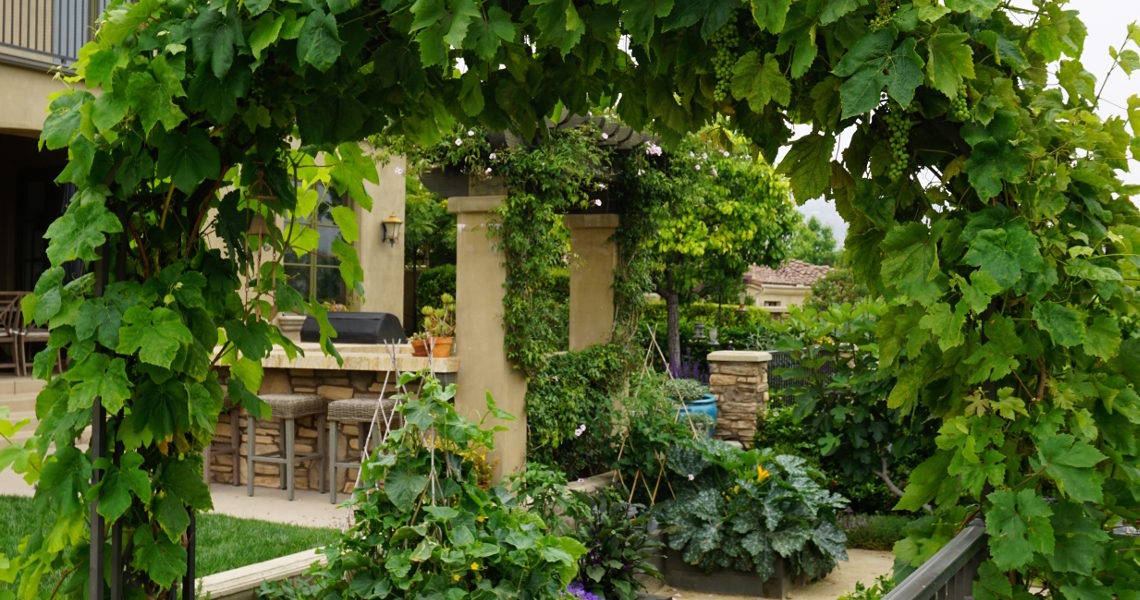 This incredible, Tuscan-style garden has an archway with two different grape varieties.