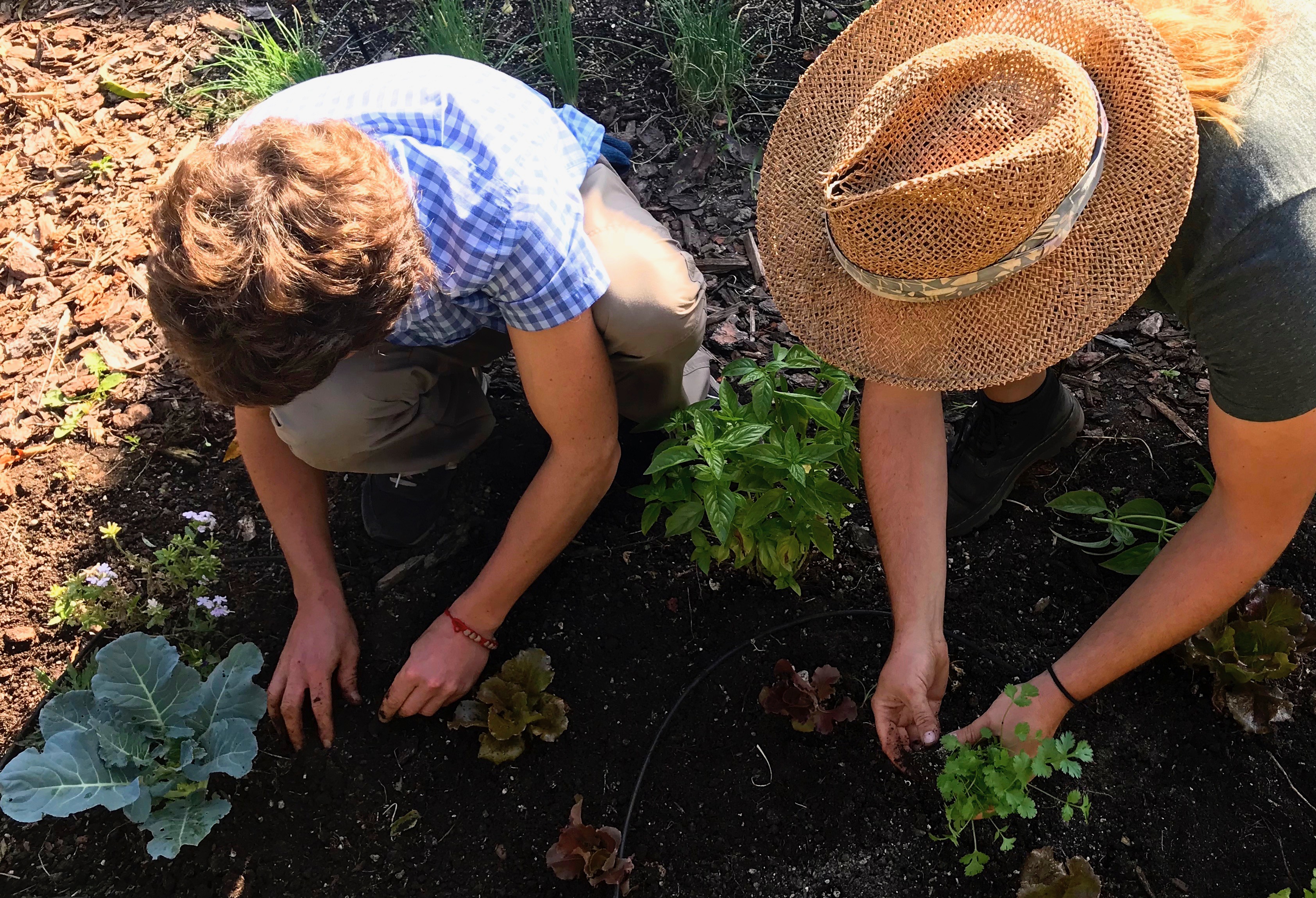 Young Farmers and Regenerative Organic Agriculture Certification